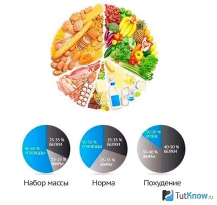 Как да се хранят белтъчини и въглехидрати
