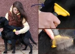 Furminators куче какво е