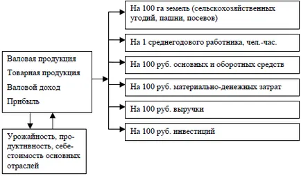 Каква е териториалната специализация