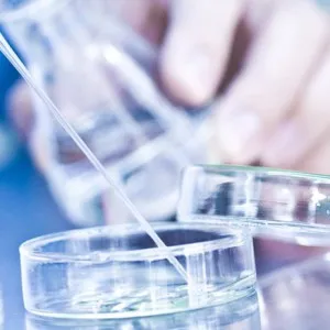 Цитологични изследователски методи Цитологични изследователски методи