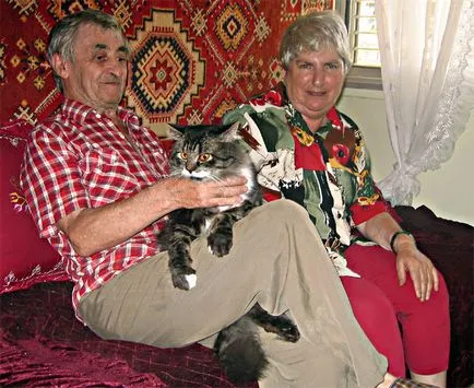Още веднъж за котката