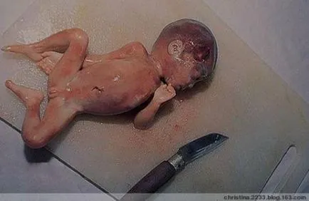 Както китайците ядат ембриони