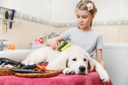 Furminators куче какво е