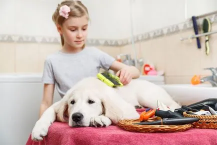 Furminators куче какво е