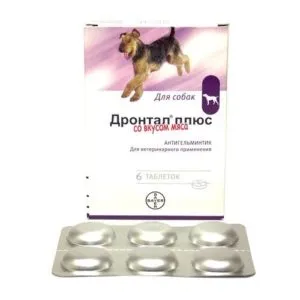 Червей заразяване при кучета
