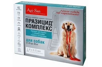 Червей заразяване при кучета