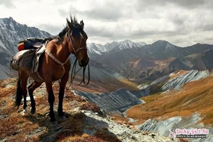 Как да отиде в Алтай
