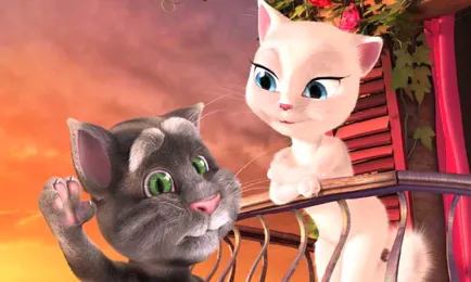 Том котка котка