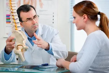 Vertebrology meg Vertebrology meg