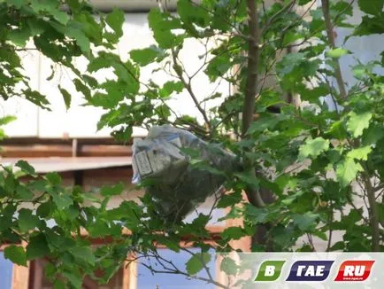 Mi dobja az erkélyről