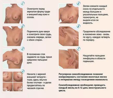 Какво е инволюция на гърдата