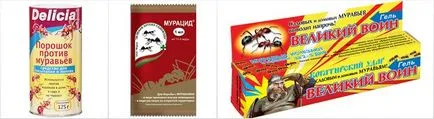 Резултатът от мравки в градината