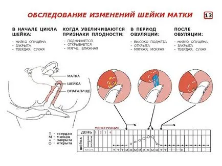 Какво е чувството утробата Какво е чувството утробата