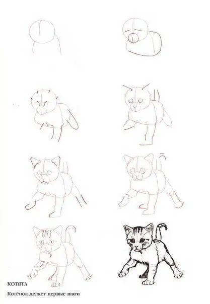 Рисуване с молив котка Рисуване с молив котка