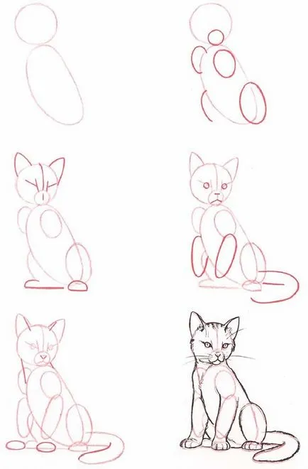 Рисуване с молив котка Рисуване с молив котка