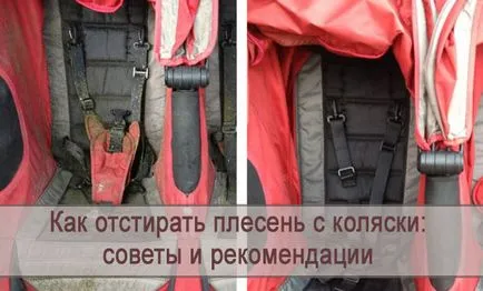 Как да се измие с мухъл върху шейна
