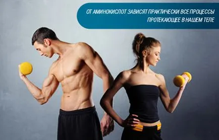 Как и кога да се аминокиселини