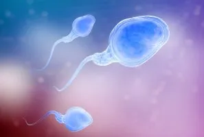 HPV férfiaknál HPV férfiaknál