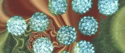 HPV férfiaknál