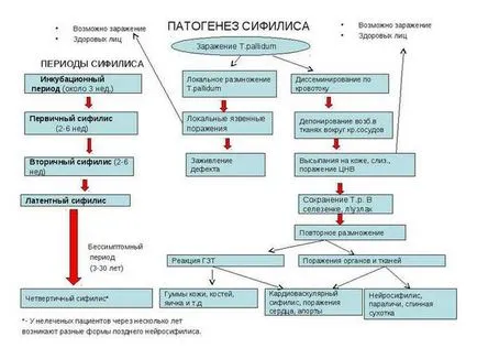 A duzzadt nyirokcsomókat eltávolítottuk