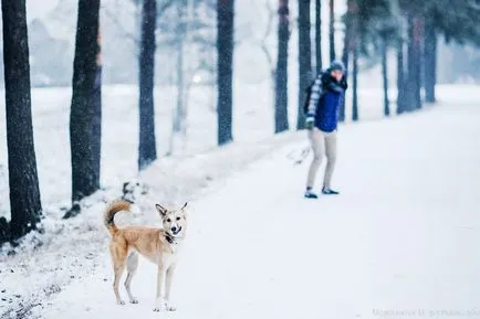 каша