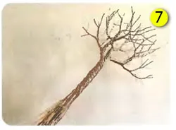 Занаяти как да правят дървета