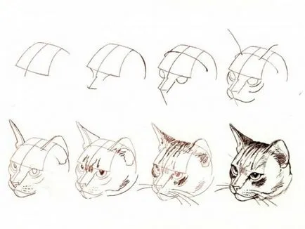 Рисуване с молив котка