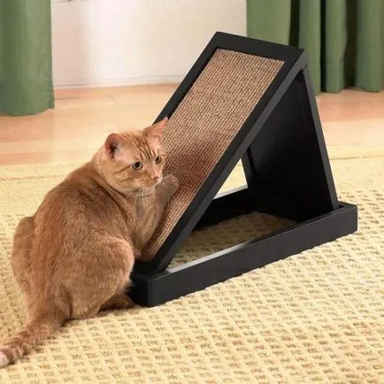 Точки за котки