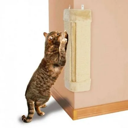 Точки за котки
