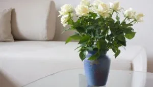 Как да запазим роза без вода