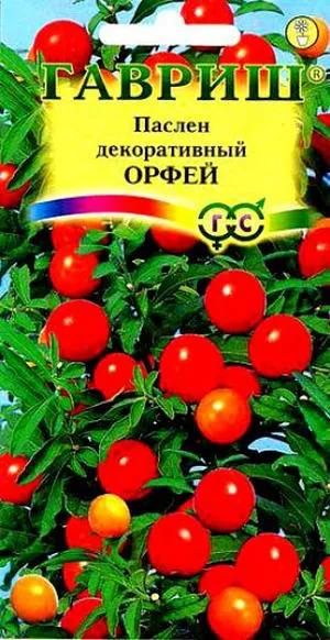 Как да се грижи за саксийни беладона