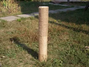 Точки за котки