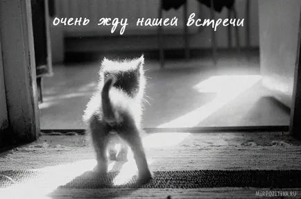 Тъй като аз чаках снимки