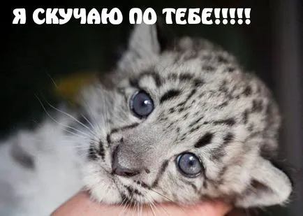 Тъй като аз чаках снимки