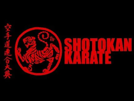 Какво е shotakon