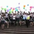 Коте в ръцете на това, което