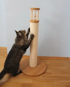 Точки за котки