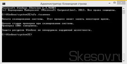 майстори диагностика