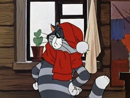 котка снимки Matroskina