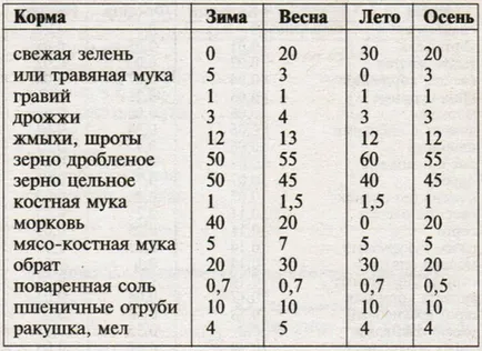 От пилета бързат