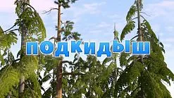 Маша и Мечокът, че новото
