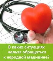 Колко полезна хвойна