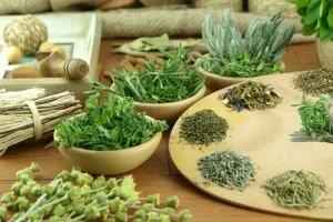Кукуряк за отслабване как да се пие Кукуряк за отслабване как да се пие