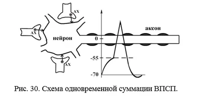 Какво е нервният център
