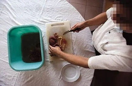 Както китайците ядат ембриони