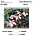 Лесно управление на дисплей, който е Лесно управление на дисплей, който е