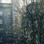 Какво искаш да кажеш, аз съм Какво искаш да кажеш, аз съм