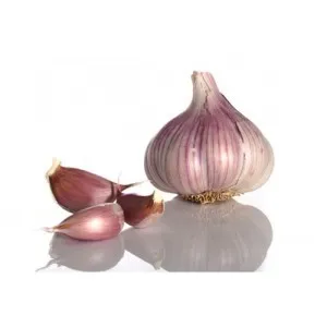 A zárt forma tuberkulózis, hogy ez A zárt forma tuberkulózis, hogy ez