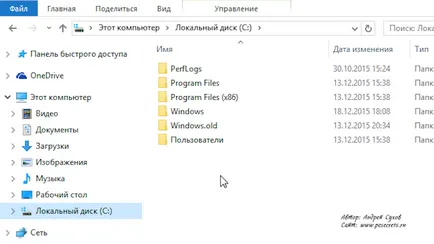 Какъв вид на папки файлове
