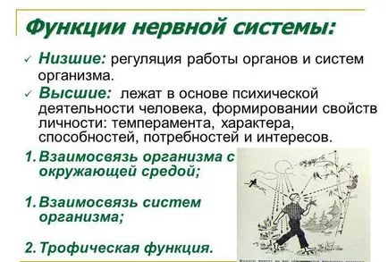 Как да премахнете депозити на врата